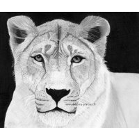 link into the post of the drawing