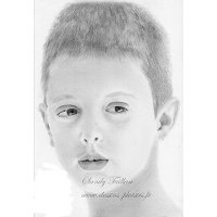link into the post of the drawing