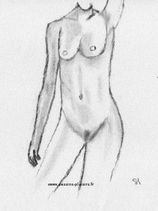 a drawing of  female nude