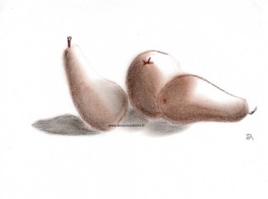 Drawing of Pears